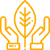 icon-hands and leaf