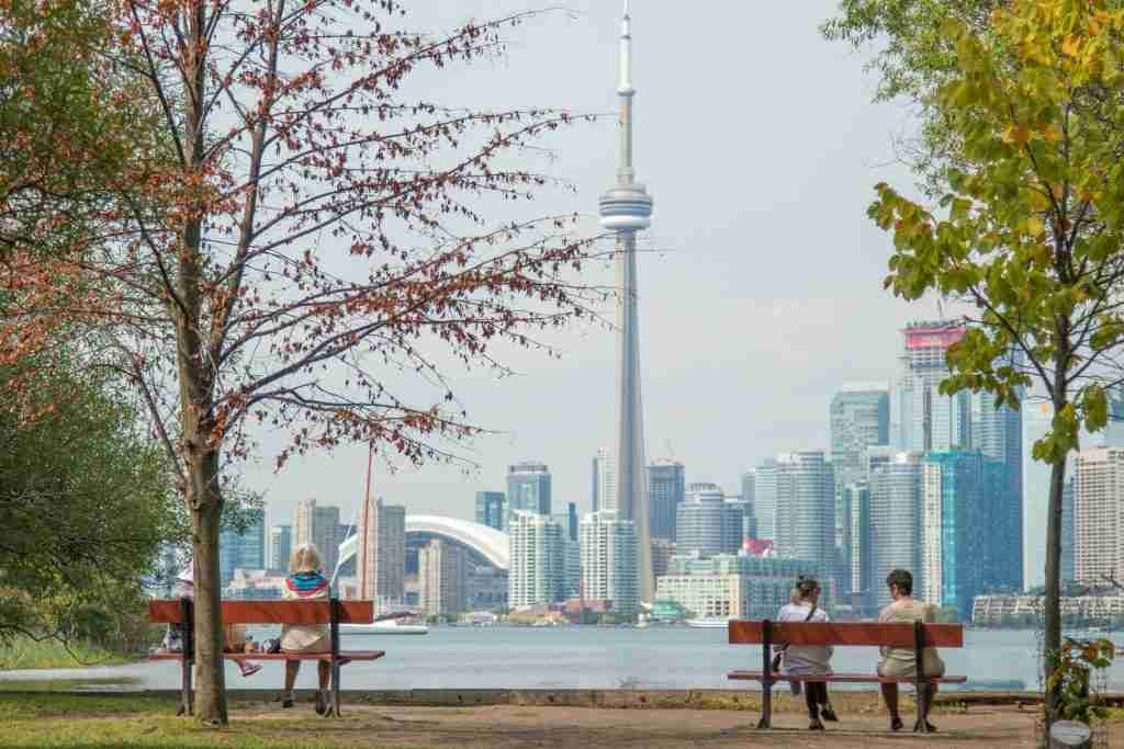 Toronto Seo Marketing Agency